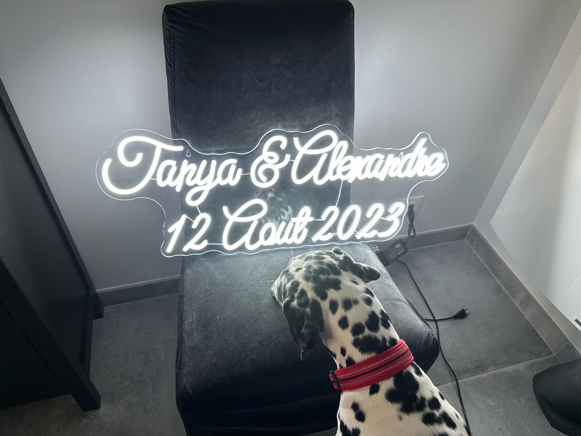 Insegna al Neon personalizzata - Home Decor Logo Design recensione e prezzo